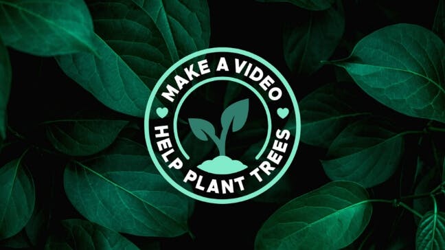 We Planted 100,000 Trees, Thanks to You!