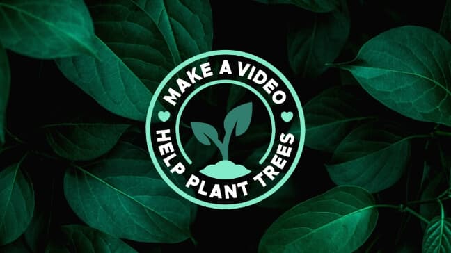 We Planted 100,000 Trees, Thanks to You!