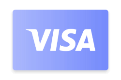 Prepaid Visa