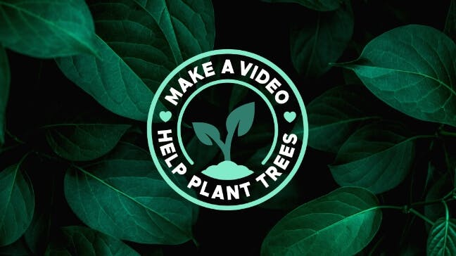 We Planted 100,000 Trees, Thanks to You!