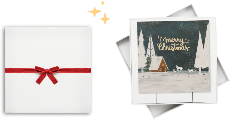 Premium Gift Box + Bow