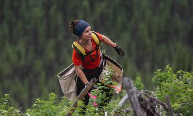 Over 100,000 trees planted around the world.
